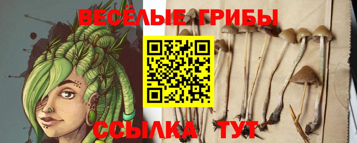 Псилоцибиновые грибы Magic Shrooms Рославль
